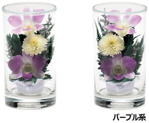 {gt[(ފ   ފ  ފ  2w1΂Ƃď邱Ƃł  @vU[uht[  KXh[ KXP[X)