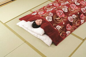 2킹܂ѕz@3FgiTAN-831jiѕz@g@h@Q@|ѕz N ѕz ݂ ѕz ܕtѕz qp |ѕz VO   ѕz 3g ѕzZbgj