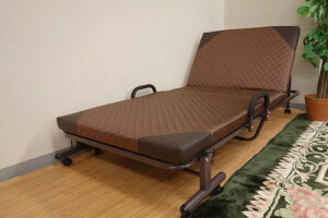 14段階リクライニング折りたたみベッド TAN-698(シングルベッド、ベッド、折り畳みベッド、スチールベッド 一人暮らし 単身赴任 コンパクト 安い Sサイズ シンプル 折り畳み おしゃれ 布団