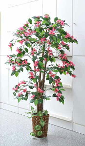 tFCNO[@lHϗtA@u[QrAiTAN-630ji^   zj v[g CeA  sv    ItBX rO  ^ G