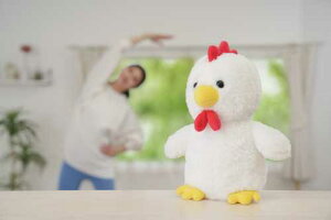 ̑RbR (WȊ  q R~jP[V N K hV Nێ {Ph~  v[g  dr  q)