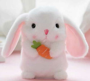 ̂܂ Aj} ̂܂˂ (ׂ  x ׂ ʂ ^  bl`  Mtg v[g a b  ׂ q xr[ߋ)