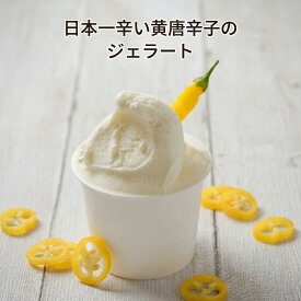 日本一辛い 黄色唐辛子 を使った ジェラート と他6種 バレンタイン 唐辛子 アイス 大人 辛い 辛い食べ物 辛いもの好き プレゼント 牛乳 ミルクジェラート 抹茶ジェラート 紅茶 アールグレイ 美味しいアイスクリーム アイス詰め合わせセット 美味しいスイーツ 選べるスイーツ