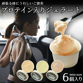 【Google評価4.7】 プロテイン 入り ジェラート 冬のスイーツ 脂質カット 糖質カット アイス ジェラート詰め合わせ 6個入り ジェラートギフト ヘルシースイーツ 濃厚アイス スイーツ お取り寄せ 手作り ヘルシー ギフト 贈り物 高級 人気 チョコ 鳴子温泉 バレンタイン