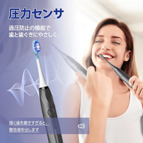 楽天市場】SEAGO 電動歯ブラシ 替えブラシ8本 携帯用 ソニックケア