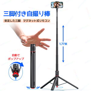 B_ Ort ZJ_ B_X}zOr X}zz_[|bvAbv yʃRpNg uR C}Olbg 177cm܂ŐLт ] px\ ܂ X^h 