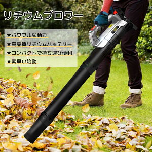 u[ [d R[hX [du[ 20v obe[ y RpNg | ԃu du[ | | t y ^  ؂ R[hXu[ u[ |@