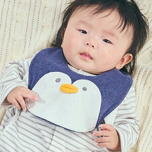 N[hXR[v(kladskap)̃X^C