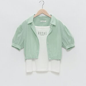 ||lbgWjA(pom ponette junior)ptX[uuEX^NZbg