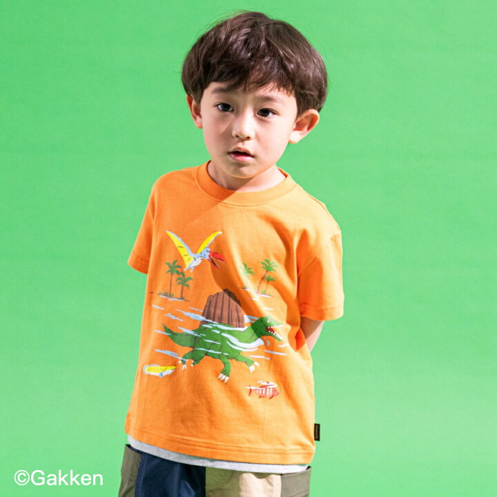 楽天市場】クレードスコープ(kladskap)【Gakken】恐竜半袖Tシャツ  
