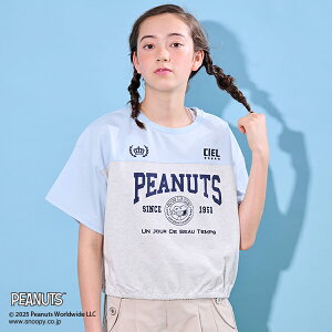 ||lbgWjA(pom ponette junior)yPEANUTSzyڐG⊴zhXgwTVc