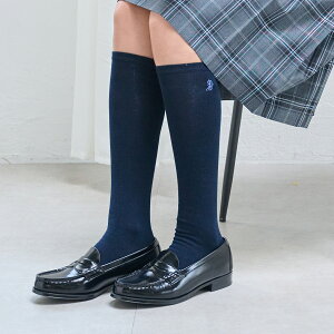 ||lbgWjA(pom ponette junior)yz[t@[