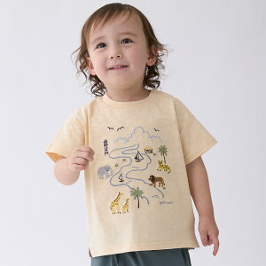 �v�e�B�}�C��(petit main)�T�t�@���h���イ����T�V���c
