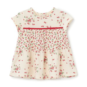 �Z���X�I�u�����_�[(sense of wonder)��C�`�S�e�B�A�[�h�`���j�b�N�y�I�[�K�j�b�N�z�y���{���z