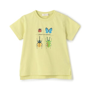 �Z���X�I�u�����_�[(sense of wonder)�ڐG�⊴�����v�����g����T�V���c