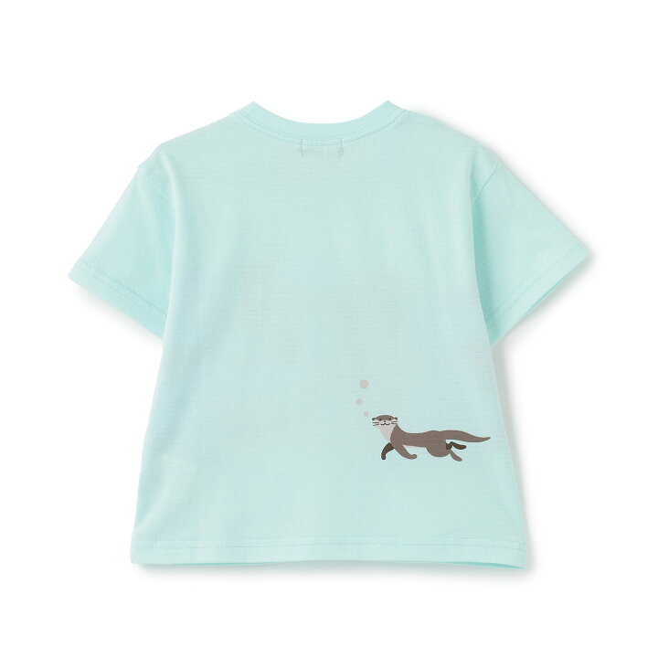 楽天市場】クレードスコープ(kladskap)カワウソ半袖Tシャツ : NARUMIYA 