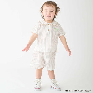 �v�e�B�}�C��(petit main)�y���Ȃ����Ȃ��΂����I�z�܂��Z�b�g�A�b�v