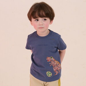 �Z���X�I�u�����_�[(sense of wonder)�ڐG�⊴���o�e�B�����A�b�v���P����T�V���c