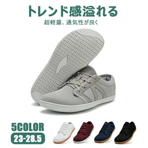 yzXj[J[ fB[X Y JV~A ^C V[Y [Jbg ubN JWAV[Y jOV[Y WjA Ռz  y 傫TCY 