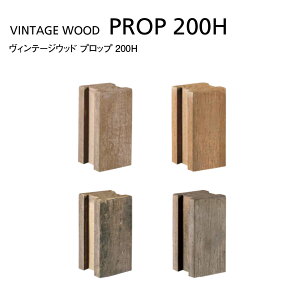 Be[WEbh vbv 200H 1{@CYhxbh Ԓ R[i[ K[fxbh v^[ ƒ؉ Ԓd | ͔| K[fjO