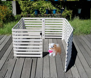 ܂߂EbhtFX Q[gtT[NZbg