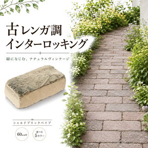 インターロッキングブロック」の人気商品一覧・価格比較 - 価格.com インターロッキング ブロック   茶⑤
