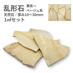 y` VR΁zI[NXg[ p[CG[ 1 Zbg Av[` ܑ ~ ΍ eX DIY O\ `΁@x[Wn R