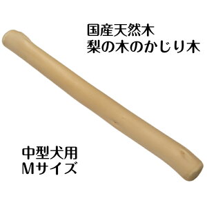 ̖؂̂X ̖؂̂ MTCY 1{ Y ^p ނ Ê΍ Y F