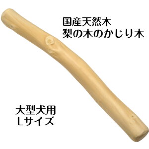 ̖؂̂X ̖؂̂ LTCY 1{ Y ^p ނ Ê΍ Y F