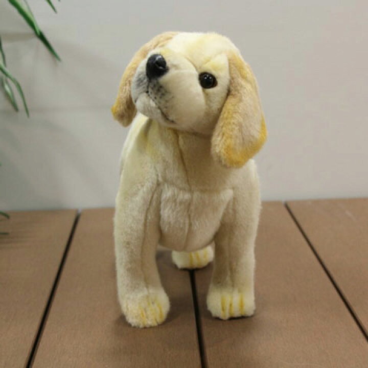 楽天市場 犬 ぬいぐるみ ラブラドールレトリバー子犬 いぬ イヌ リアル 本物 そっくり かわいい 送料無料 Nasluck Direct
