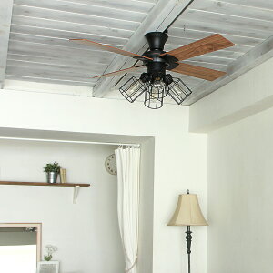 y3N[J[ۏ؁zyJAVALO ELFz VINTAGE Collection LEDΉ 4 V[Ot@ ubN REGW\dt ȒPt JE-CF001V-BK