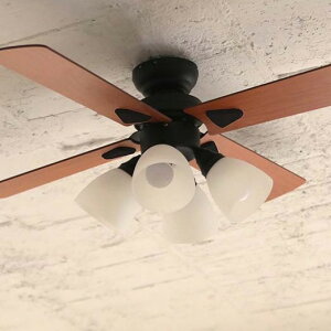 yplusmorez LEDΉ 4 V[Ot@ Windouble ubN Rt ȒPt BIG-101-BK