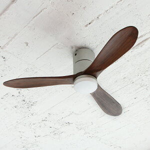 y3N[J[ۏ؁z yJAVALO ELFz Modern Collection LED V[Ot@ Vo[ _[NEbh 4iKؑ Rt ȒPt JE-CF004M CtIv_Nc