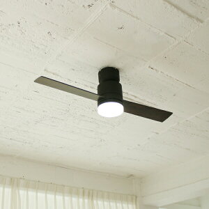 y3N[J[ۏ؁z yJAVALO ELFz Modern Collection LED V[Ot@ 2blades style Rt ȒPt ubN JE-CF005M