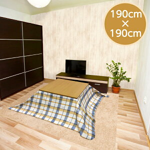  |Jo[ |zcJo[ ` 190×190cm ~X^[ MUNSTER hJr R h h u[ MEIWA aOrA