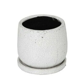 DULTON グーズドポットラウンド L white K655-851LWT