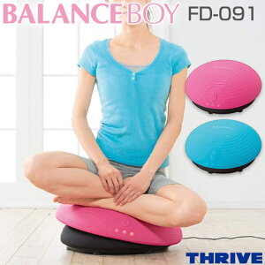 yTHRIVE/XCz 邾ő̊g[jO oX{[C u[ sN FD-091 哌d@ ʔ̌胂f