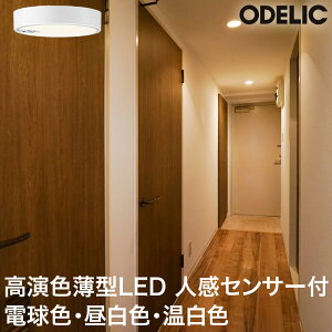 yI[fbNzF^ LED V[OCg lZT[t dCHKv