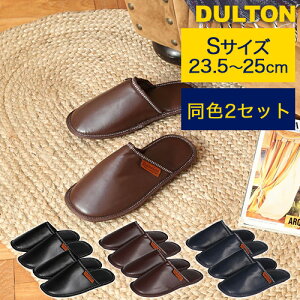 F2Zbg DULTON U[  Xbp [V[Y STCY 23.5cm`25cm [obOt ubN uE lCr[ T20-0226S _g