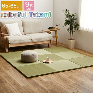 ���F9���Z�b�g �J���t�������̒u���� ���j�b�g�� �э� 65×65cm �����` ����T�C�Y �ڐϐD�� ���Ȃ� ���ׂ�~�ߕt�� ���g�[�E�z�b�g�J�[�y�b�g��Ή�
