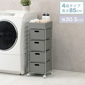 ^ h[`FXg o4i 30.5cm s30.5cm 85cm LX^[t RAN-2410mȈՑgin