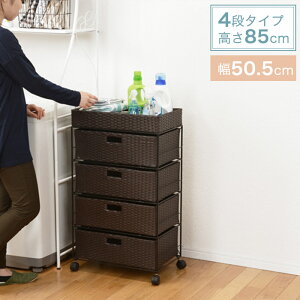 ^ h[`FXg o4i 50.5cm s30.5cm 85cm LX^[t RAN-2412mȈՑgin