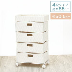 ^ h[`FXg o4i 50.5cm s30.5cm 85cm LX^[t RAN-2412mȈՑgin