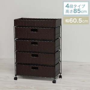 ^ h[`FXg o4i 60.5cm s30.5cm 85cm LX^[t RAN-2413mȈՑgin