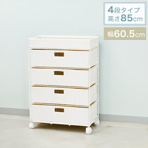 ^ h[`FXg o4i 60.5cm s30.5cm 85cm LX^[t RAN-2413mȈՑgin