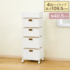 ^ h[`FXg nC^Cv o4i 40.5cm s30.5cm 109.5cm LX^[t RAN-2415mȈՑgin