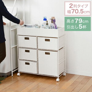 ^ h[`FXg 2^Cv o4i 70.5cm s30.5cm 79cm LX^[t RAN-2417mȈՑgin