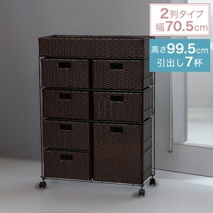 ^ h[`FXg 2^Cv o4i 70.5cm s30.5cm 99.5cm LX^[t RAN-2418mȈՑgin