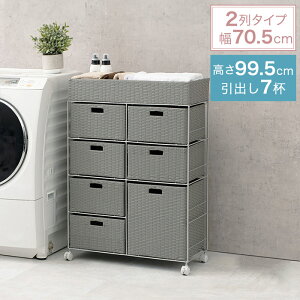^ h[`FXg 2^Cv o4i 70.5cm s30.5cm 99.5cm LX^[t RAN-2418mȈՑgin