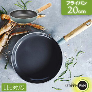 yKizIHΉ Z~bN mXeBbNR[eBO tCp 20cm [4.6cm Ct[ CC001896-001 GREEN PAN O[p